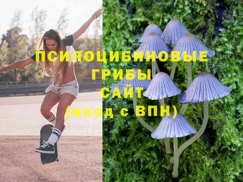 Псилоцибиновые грибы MAGIC MUSHROOMS  магазин  наркотиков  Дивногорск 